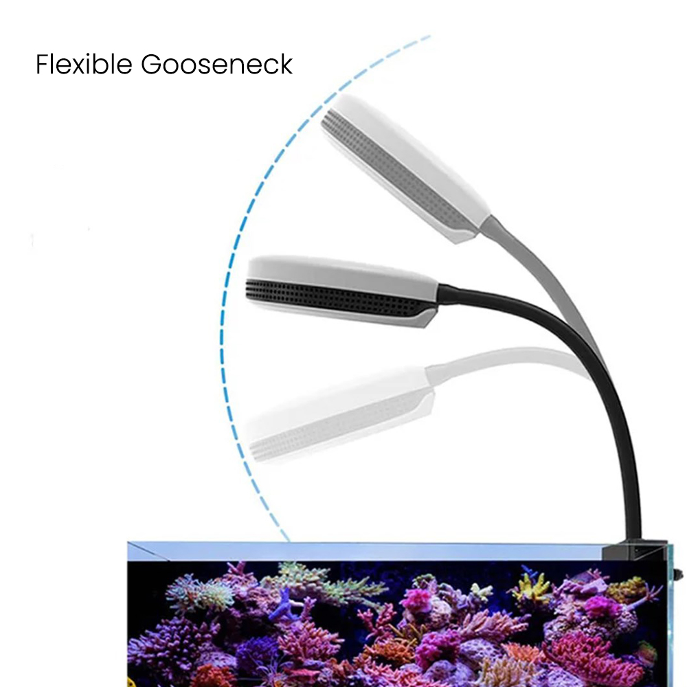 Spectra SP20 20W Aquarium LED- – Marine Aquarium Led Lights Bewertung und Preis