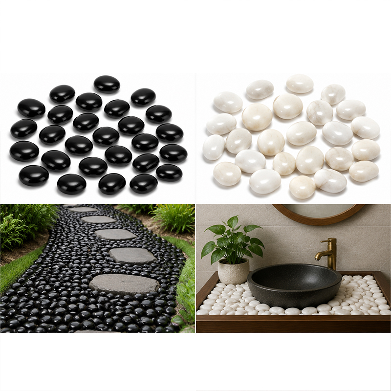 Weiß-schwarze polierte Flussst – Aquarium Marine Fish Bewertung und Preis