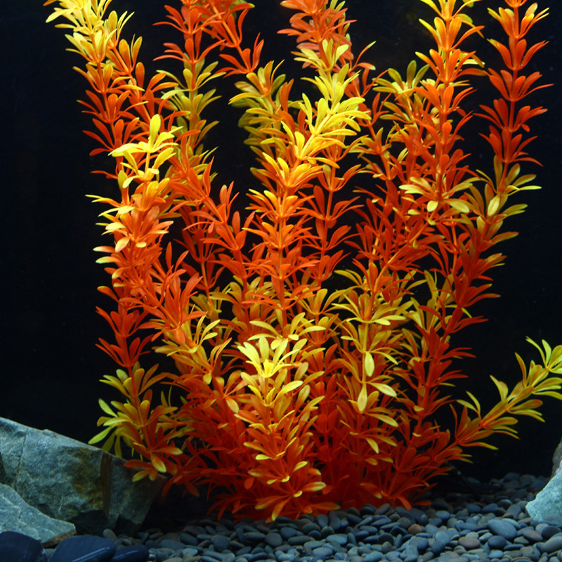 100cm Tropische Pflanzen, Groß – Aquarium Marine Fish Bewertung und Preis