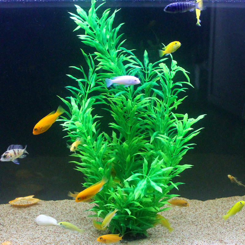 50CM Künstliche Aquarium Selte – Aquarium Marine Fish Bewertung und Preis