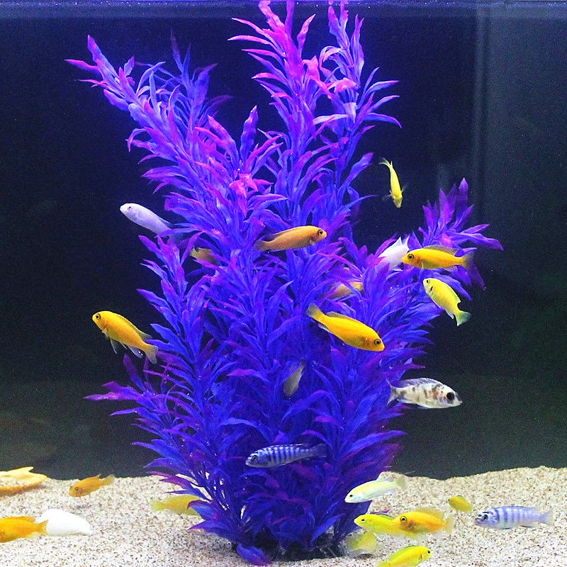 50CM Künstliche Aquarium Selte – Aquarium Marine Fish Bewertung und Preis