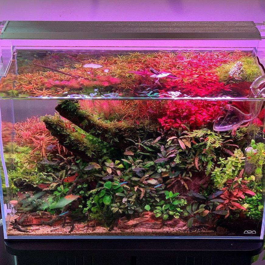 WEEK AQUA Aquarium LED-Leuchte – Marine Aquarium Led Lights Bewertung und Preis