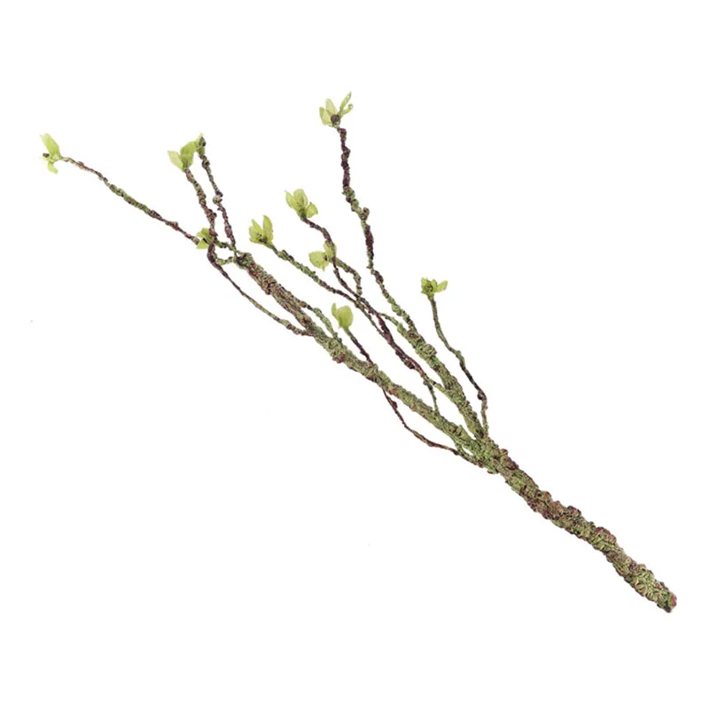 Ranken Dekor Klettern Zweige H – Aquarium Marine Fish Bewertung und Preis