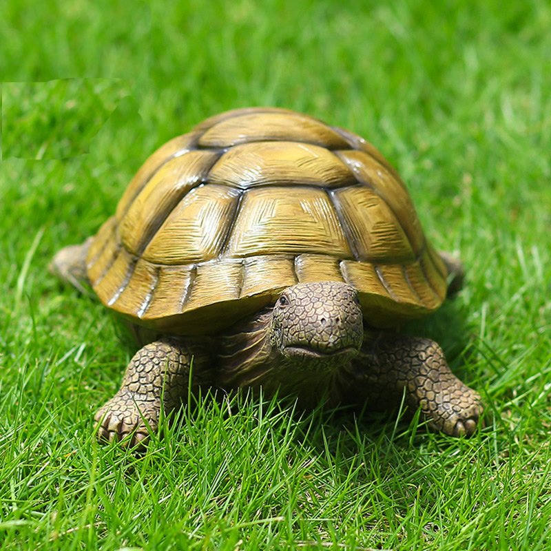 Niedliche dekorative Schildkrö – Aquarium Marine Fish Bewertung und Preis