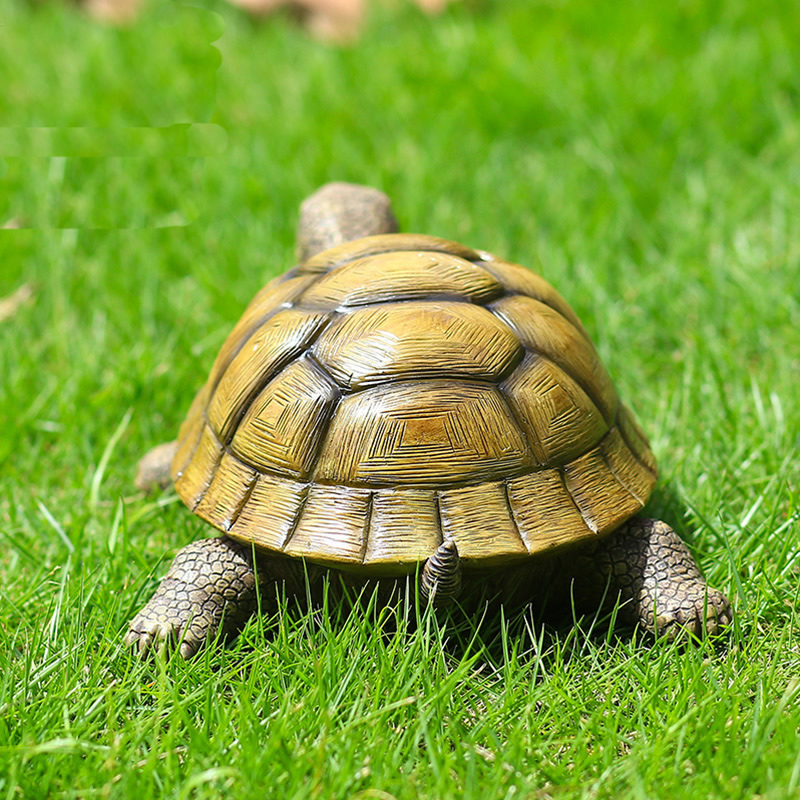 Niedliche dekorative Schildkrö – Aquarium Marine Fish Bewertung und Preis