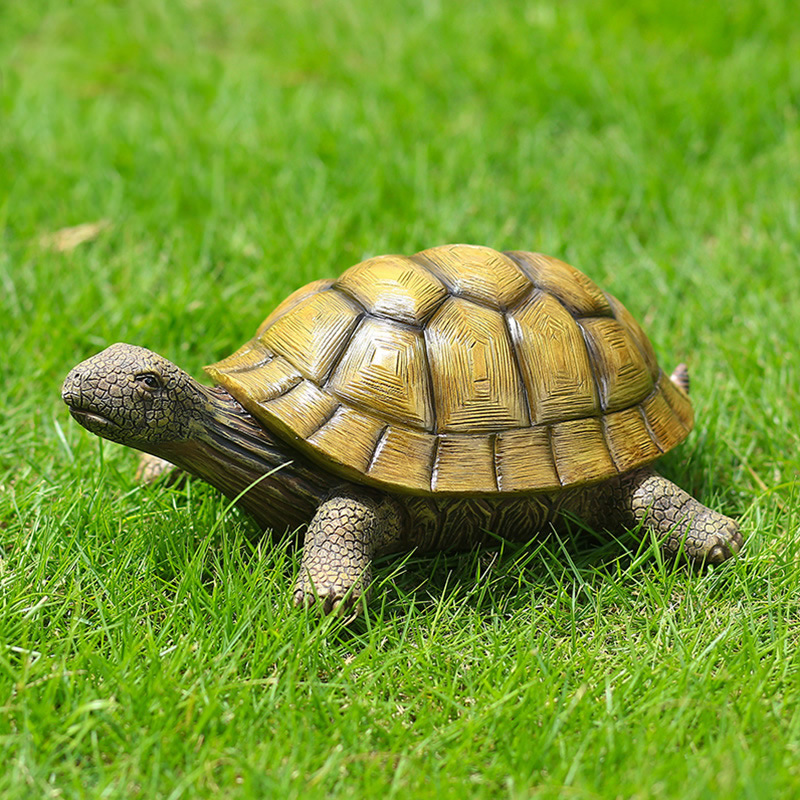 Niedliche dekorative Schildkrö – Aquarium Marine Fish Bewertung und Preis