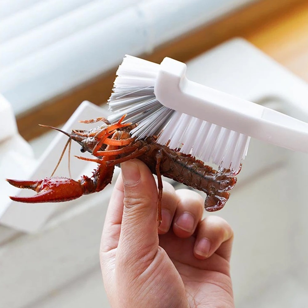Reinigungsbürste, Spülbürste,  – Marine Aquarium Glass Cleaner Bewertung und Preis